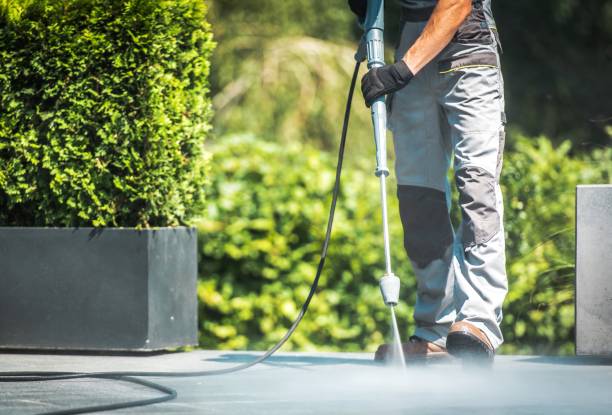 Best Fence Cleaning  in Windom, MN