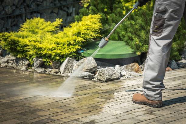 Best Pre-Holiday Cleaning  in Windom, MN
